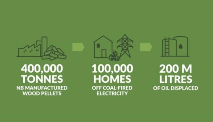 全球48%的木屑顆粒消費(fèi)來自住宅和商業(yè)建筑。從2020年到2021年，歐洲家庭生物質(zhì)消費(fèi)量增長(zhǎng)了18%，商業(yè)應(yīng)用增長(zhǎng)了12.5%。