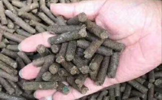 水果渣越來越受歡迎，因為它的出現(xiàn)—生物質(zhì)顆粒機(jī)設(shè)備