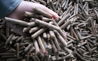 鋸末顆粒機(jī)顆粒，一種快速增長(zhǎng)的能源載體
