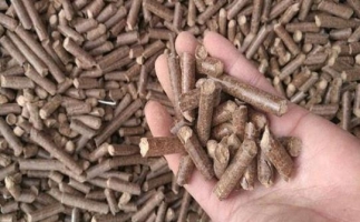 鋸末顆粒機生物質(zhì)燃料與燃煤對比情況如何？