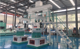 木屑顆粒機(jī)多少錢一臺(tái)?建顆粒廠大約多少錢？
