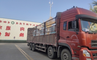忙碌的五月，忙碌的發(fā)貨，金格瑞顆粒機(jī)生產(chǎn)線發(fā)往全國各地