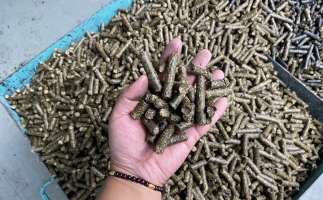 木屑顆粒機(jī)廠家告訴你生物質(zhì)顆粒燃料燃燒不充分的問題，該如何解決?