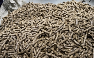 為什么很多人想了解木屑顆粒機(jī)加工的燃料顆粒作用？