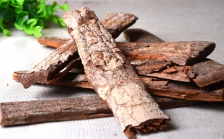 木材加工廠的廢棄物刨花能夠用來做什么？鋸末顆粒機告訴你