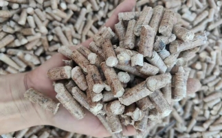 木材加工廠木屑堆積如山，環(huán)保部門令趕緊處理怎么辦？有它就夠了