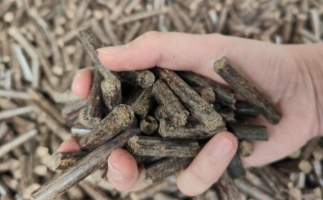 煤炭熱值那么高，為什么還要燒鋸末顆粒機(jī)的生物質(zhì)顆粒燃料？